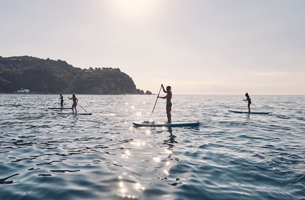Paddle surfing for beginners
