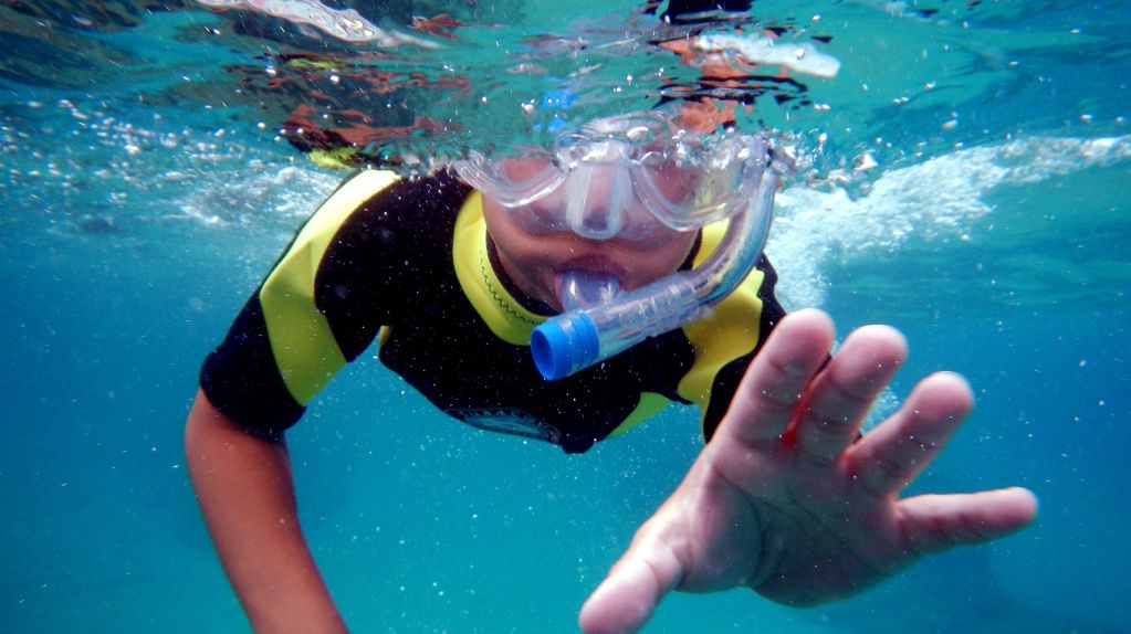 Snorkelling with a guide