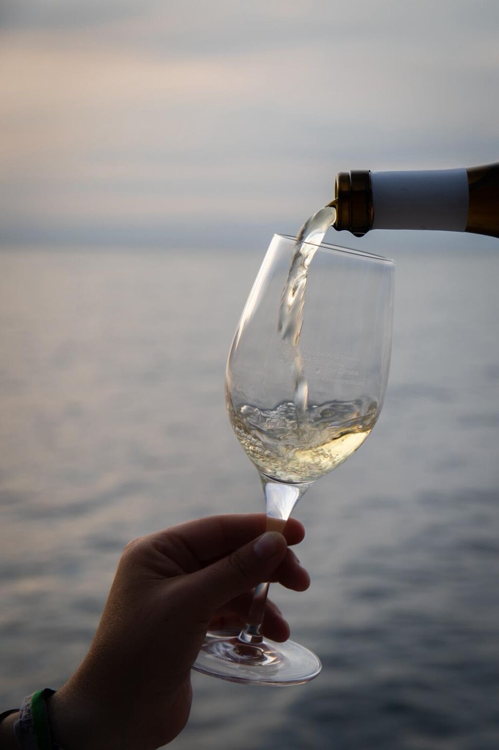 Capvespres de vi als Jardins de Santa Clotilde. Set parcel·les de vinya damunt la mar (CA)