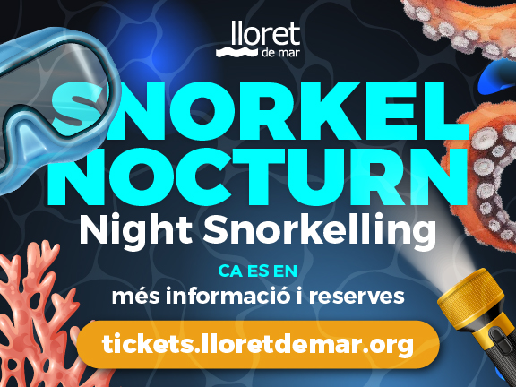 Sortida guiada d'Snorkel nocturn (CA,ES,ES)
