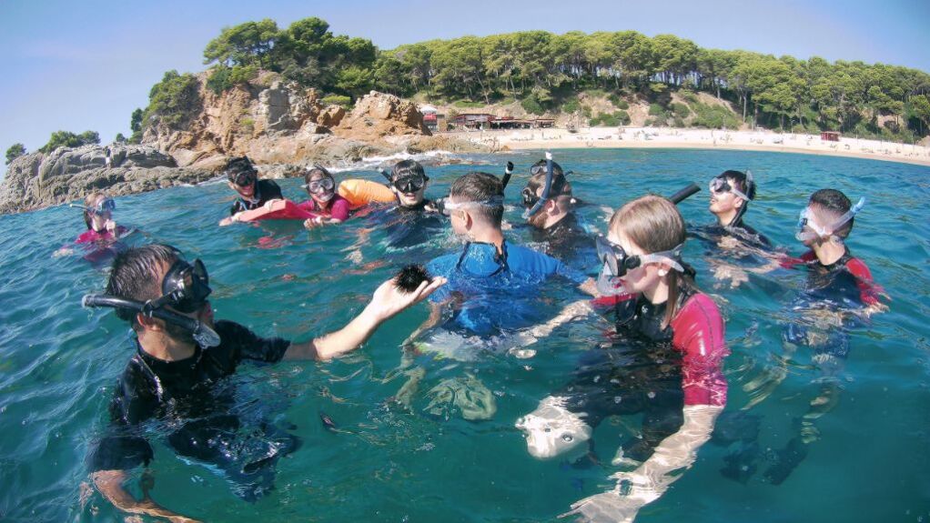 Guided Snorkel activity