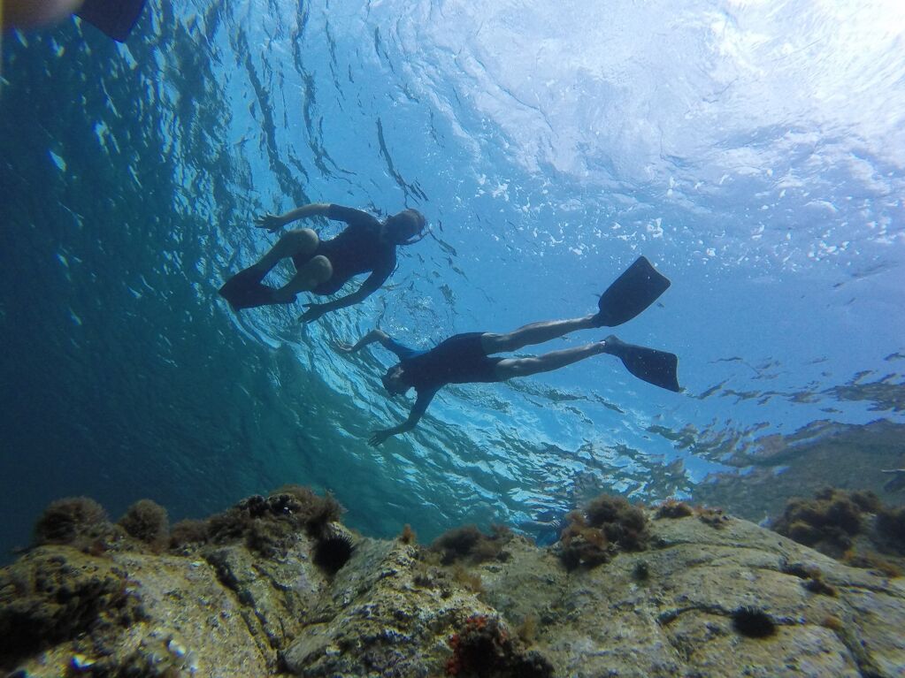 Guided Snorkel activity. Advanced Level